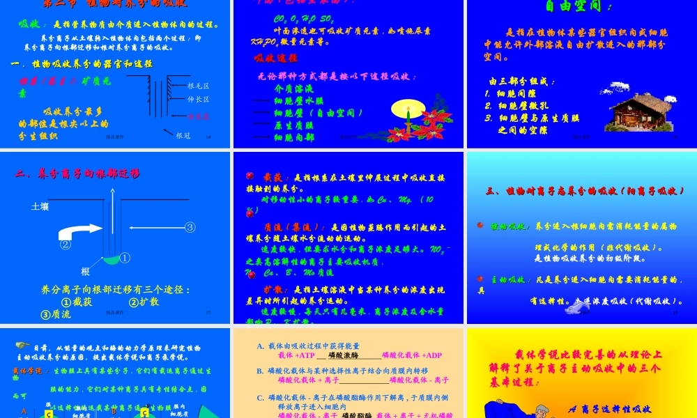 植物营养学课件