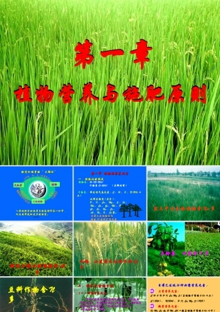 植物营养学课件