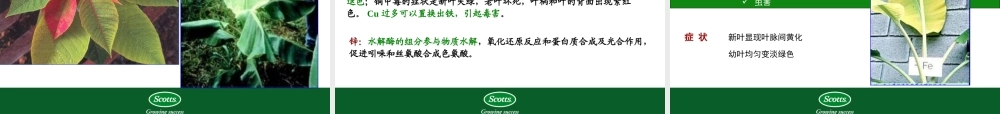 植物营养知识