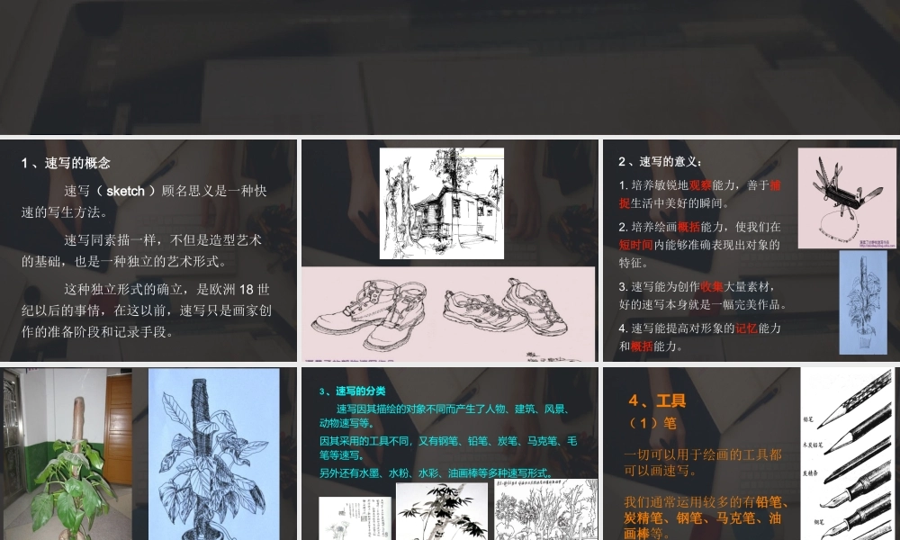 速写完整课件
