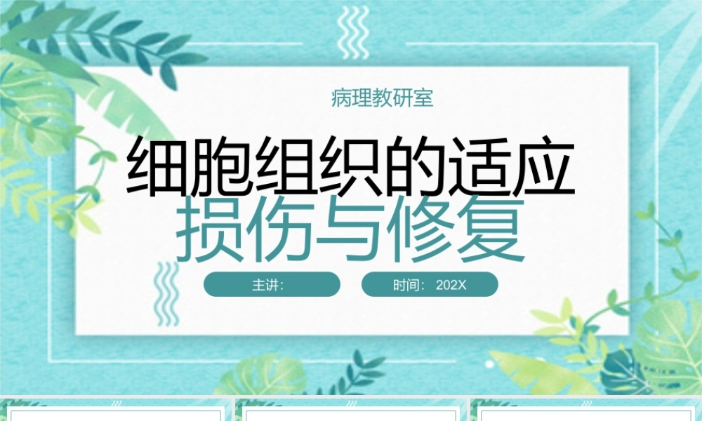 细胞组织的适应损伤与修复