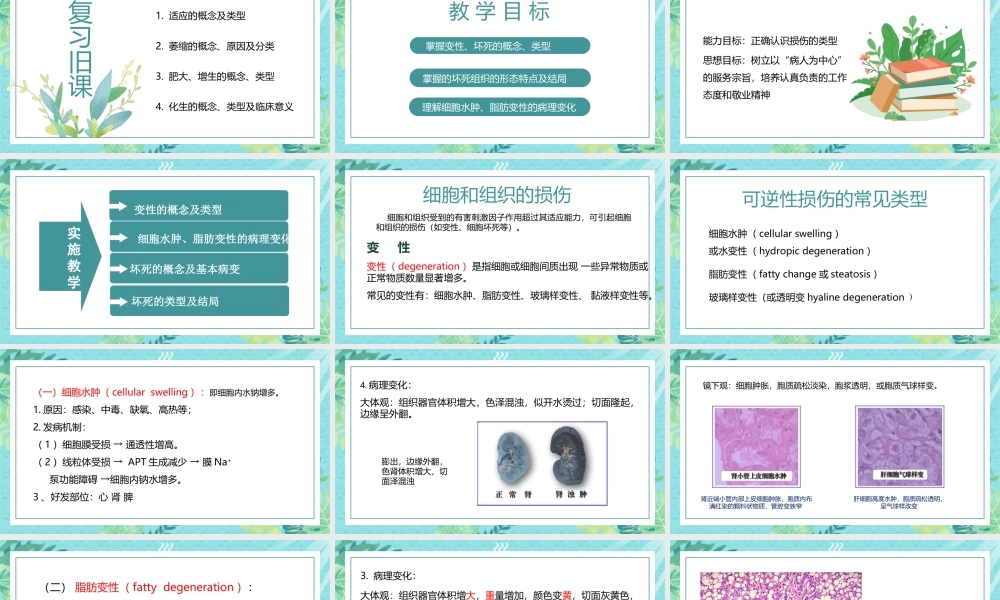 细胞组织的适应损伤与修复