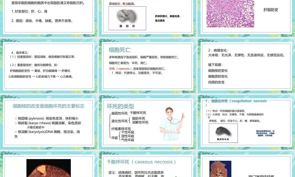 细胞组织的适应损伤与修复