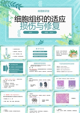 细胞组织的适应损伤与修复