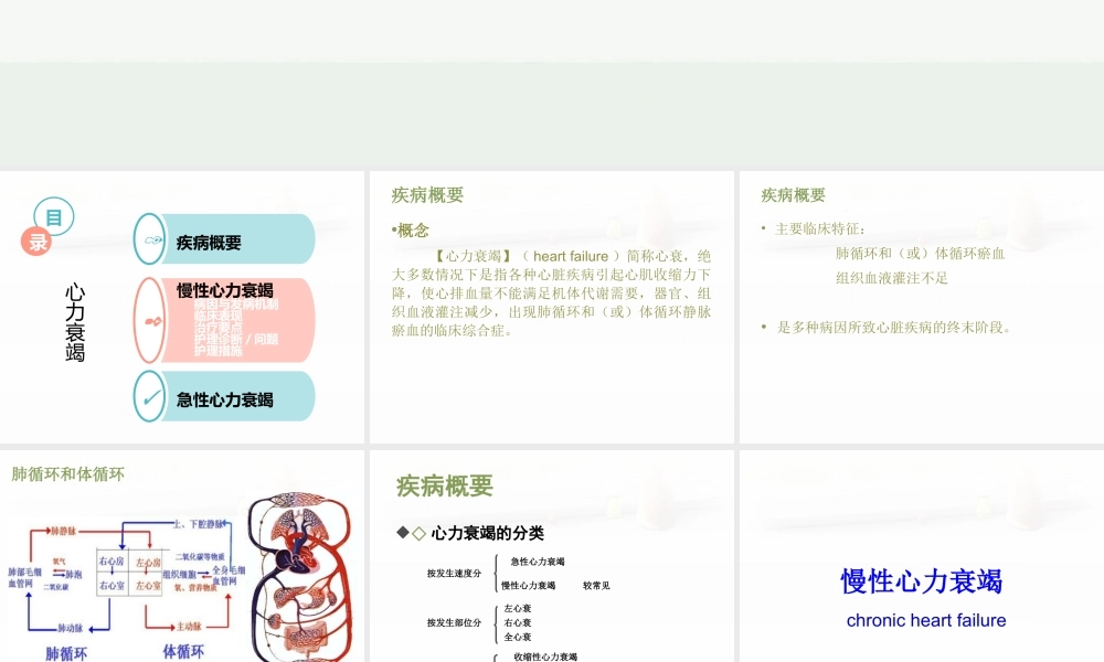 心力衰竭患者的护理