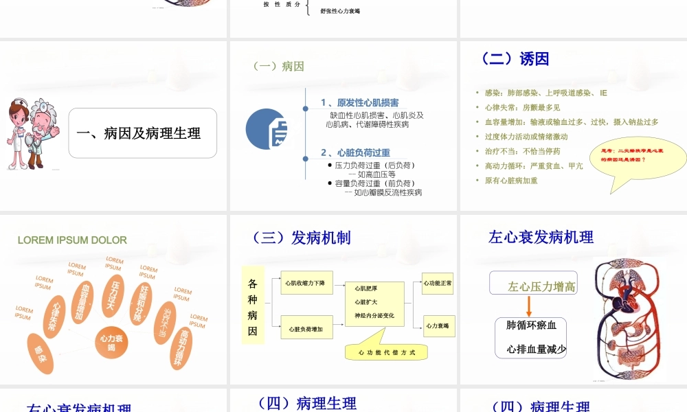 心力衰竭患者的护理