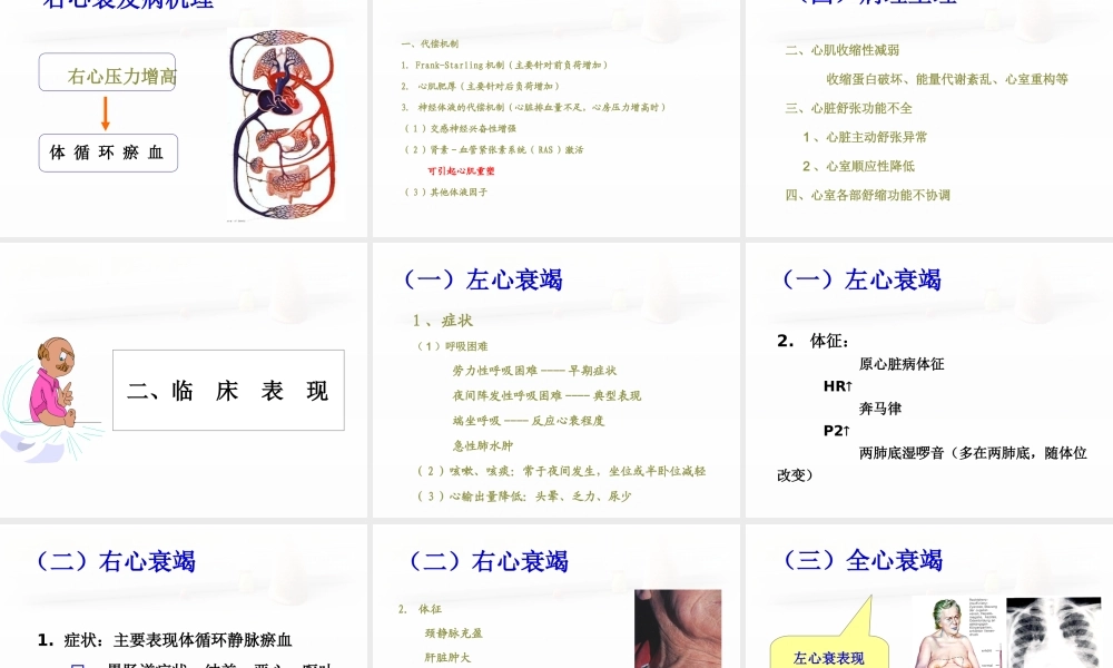 心力衰竭患者的护理