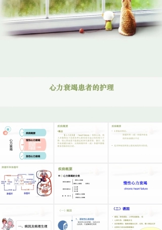 心力衰竭患者的护理
