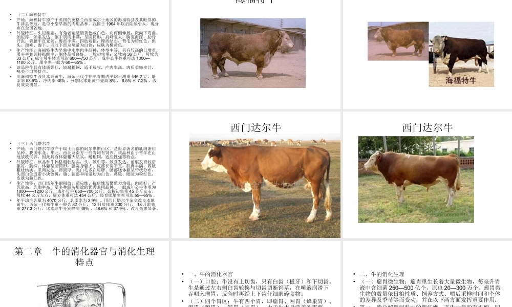 牛的饲养与疾病防治