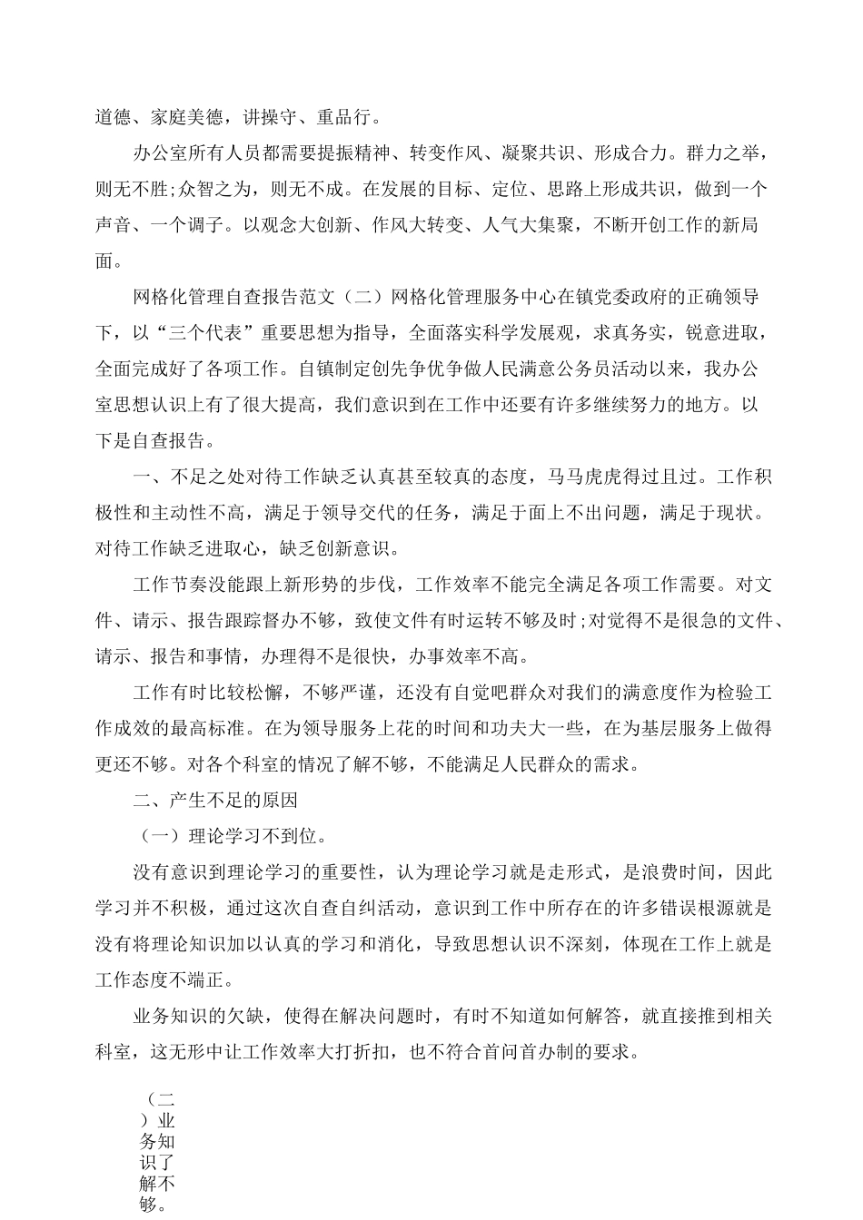 网格化管理自查报告范文_第3页