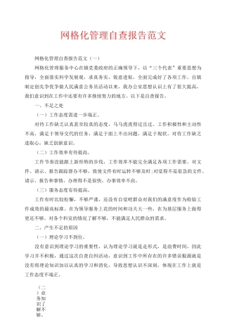 网格化管理自查报告范文