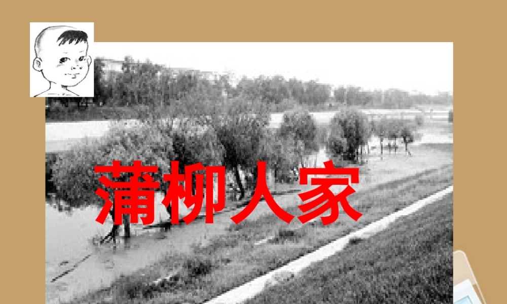 九年级语文下册(蒲柳人家)课件 人教新课标版 课件