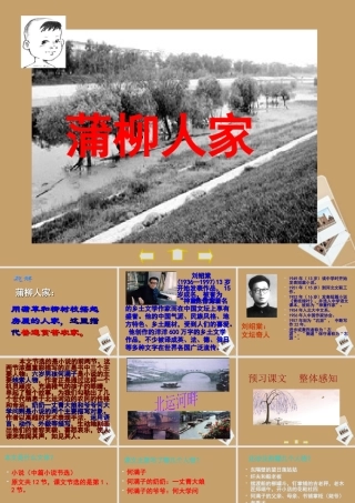 九年级语文下册(蒲柳人家)课件 人教新课标版 课件