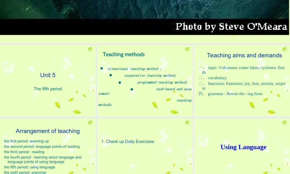 山东省沂水一中高二英语 Unit 5 the fifth period课件(27) 新人教版 课件