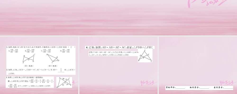 九年级数学上册 341 相似三角形的判定(第3课时)相似三角形的判定定理2练习课件 (新版)湘教版 课件