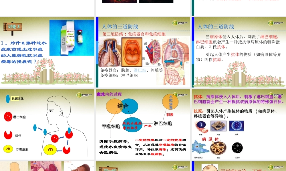 八年级生物下册 第五章 免疫和计划免疫配套课件3 鲁科版 课件