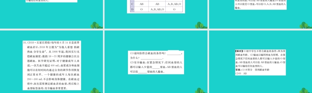 七年级生物下册 4.4.4 输血与血习题课件(新版)新人教版 课件