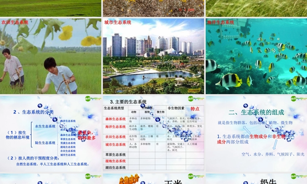 七年级科学上册 第八章第二节生态系统课件 华师大版 课件