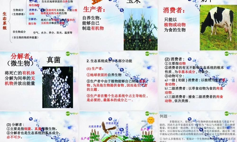 七年级科学上册 第八章第二节生态系统课件 华师大版 课件