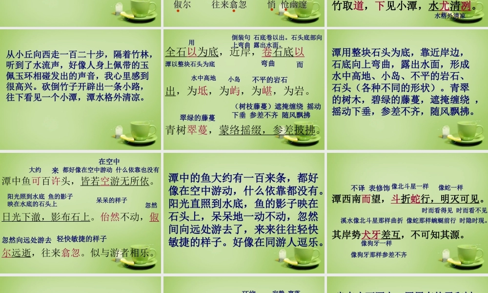 八年级语文下册 第26课(小石潭记)课件 (新版)新人教版 课件