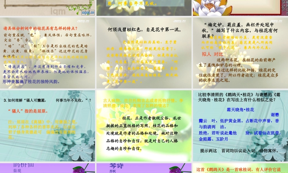 七年级语文下册(鹧鸪天·桂花)课件 北师大版 课件
