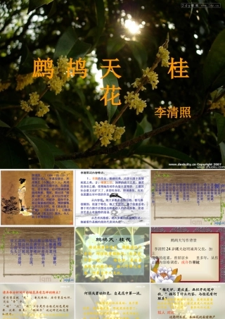 七年级语文下册(鹧鸪天·桂花)课件 北师大版 课件