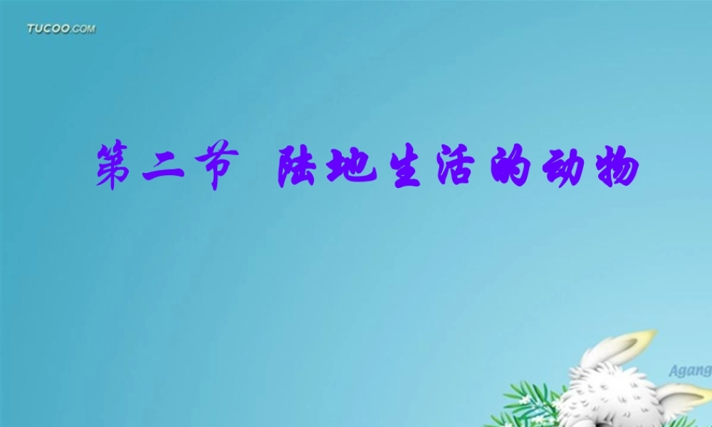 山西地区八年级生物陆地生活的动物课件 新课标 人教版 课件