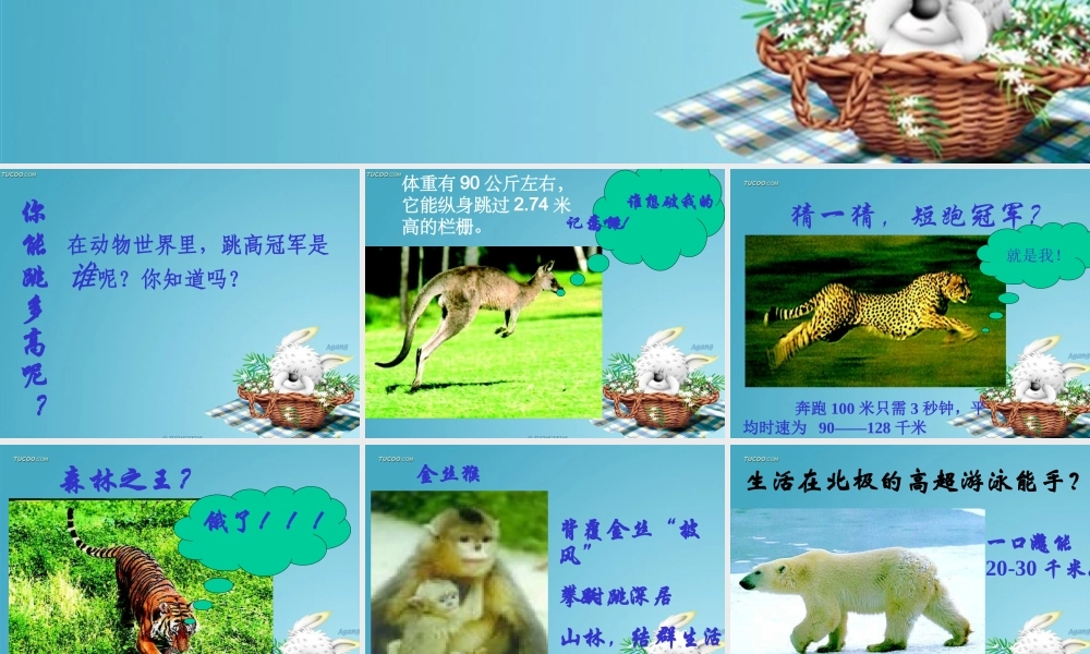 山西地区八年级生物陆地生活的动物课件 新课标 人教版 课件