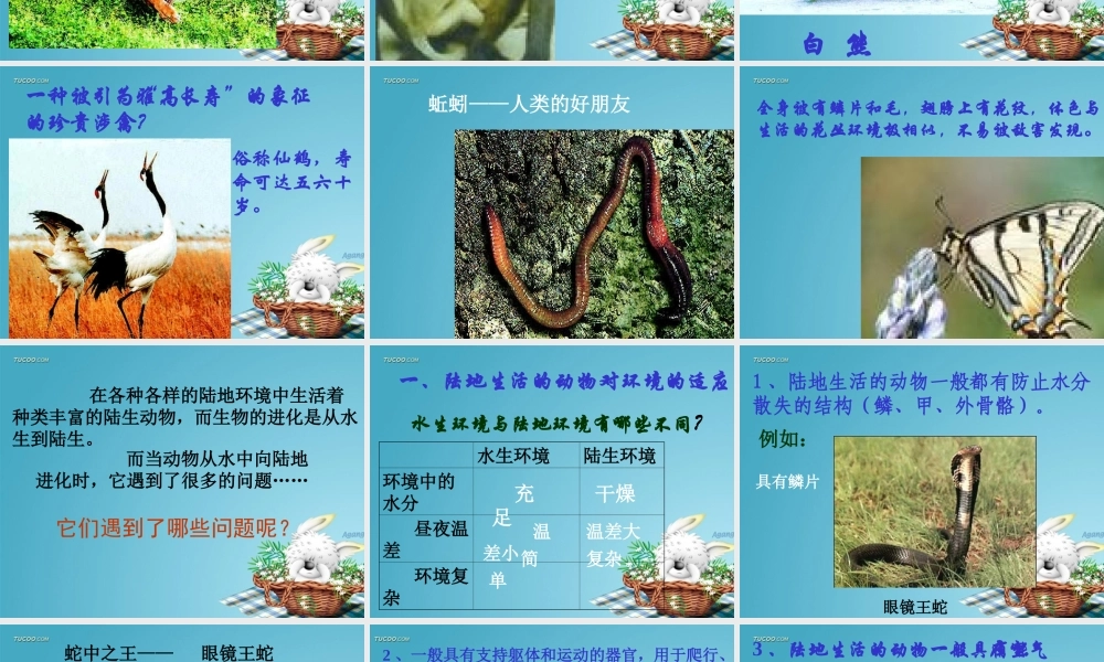 山西地区八年级生物陆地生活的动物课件 新课标 人教版 课件