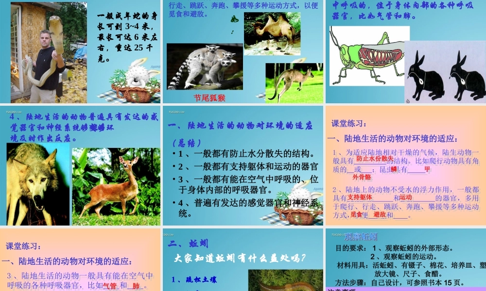 山西地区八年级生物陆地生活的动物课件 新课标 人教版 课件