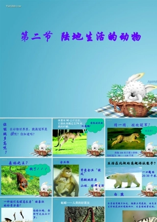 山西地区八年级生物陆地生活的动物课件 新课标 人教版 课件