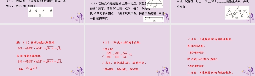 中考数学二轮复习 专题3 阅读理解问题课件