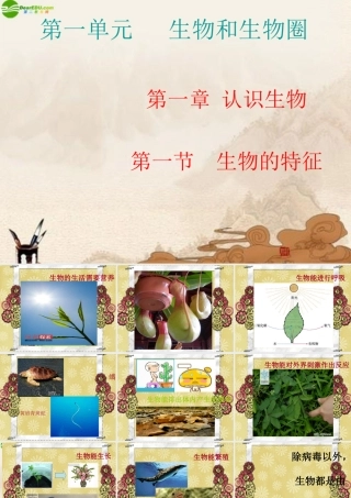 七年级生物上册 第一章第一节生物的特征课件 人教新课标版 课件