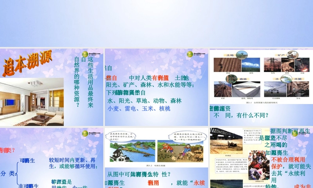 八年级地理上册 第三章 第一节 自然资源总量丰富人均不足课件 新人教版 课件