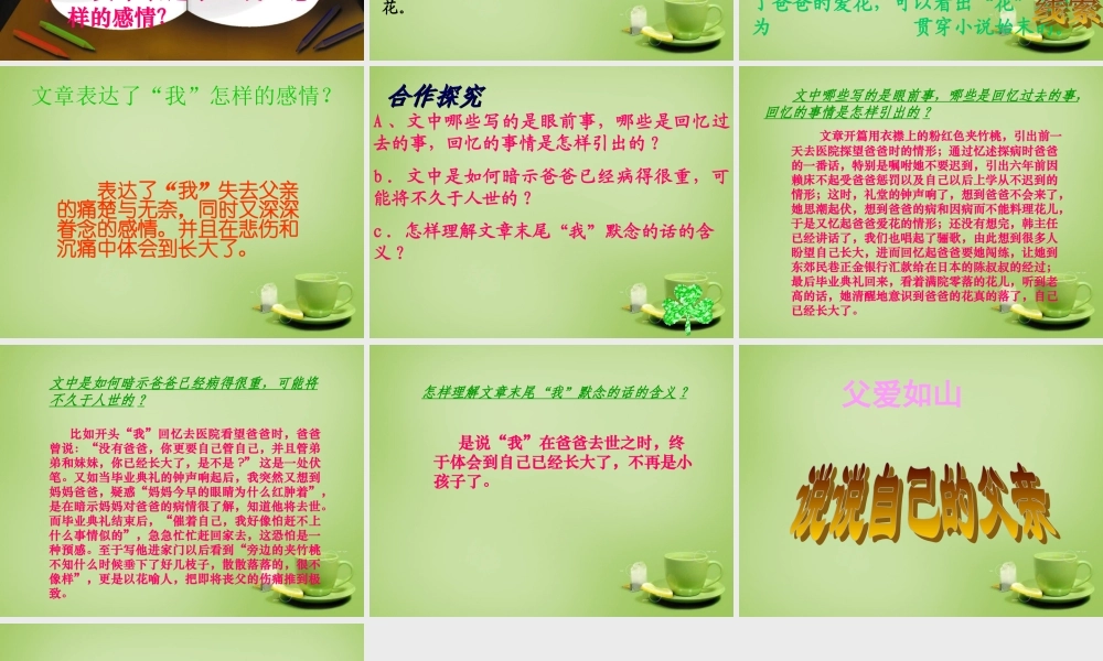 初中七年级语文下册 第2课( 爸爸的花儿落了)课件 新人教版 课件