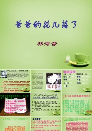 初中七年级语文下册 第2课( 爸爸的花儿落了)课件 新人教版 课件