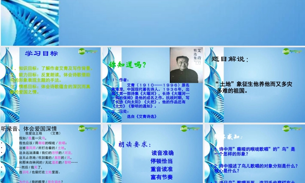 九年级语文下册 (我爱这土地)优秀教学课件 人教新课标版 课件