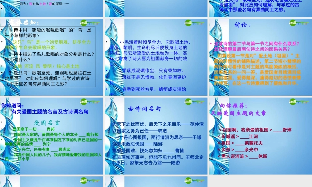 九年级语文下册 (我爱这土地)优秀教学课件 人教新课标版 课件