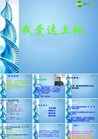 九年级语文下册 (我爱这土地)优秀教学课件 人教新课标版 课件