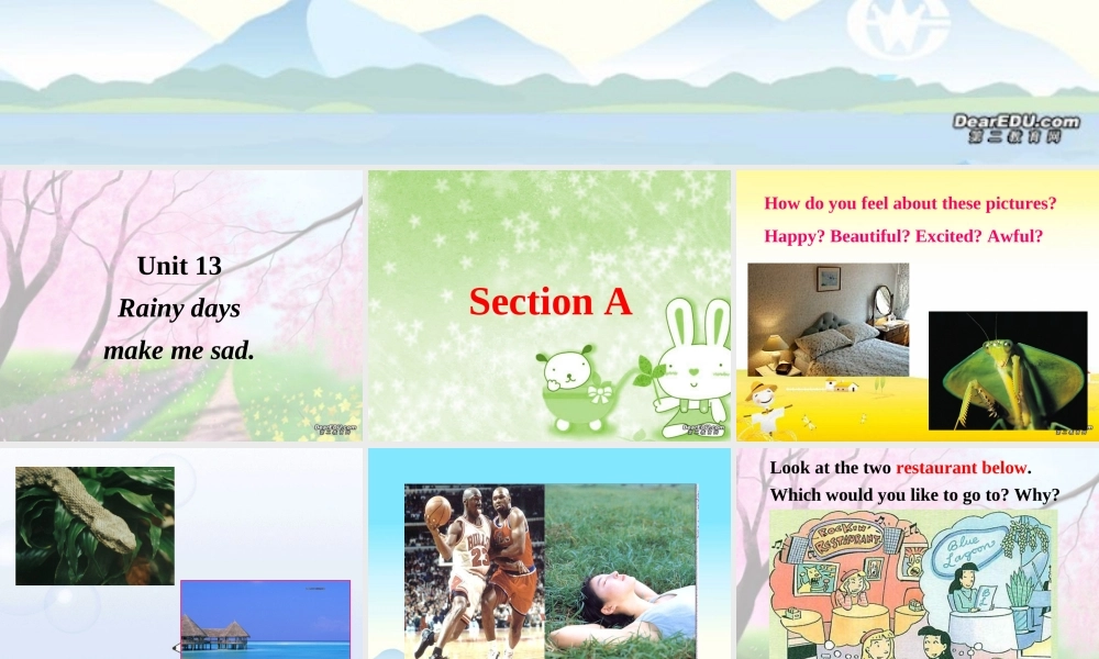 九年级英语Unit13课件 人教新目标版 课件