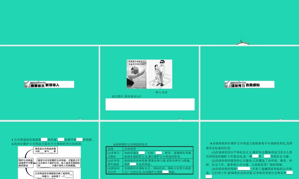 八年级政治下册 第二单元 公共利益 6 公共利益的维护课件 教科版 课件