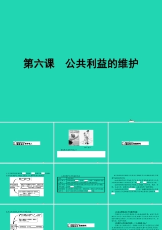八年级政治下册 第二单元 公共利益 6 公共利益的维护课件 教科版 课件