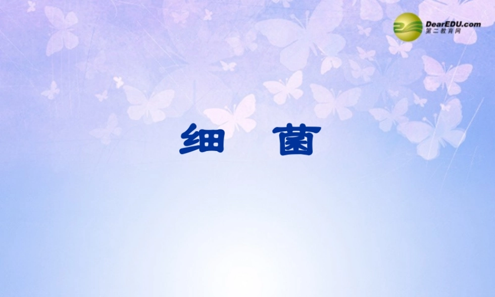 八年级生物上册 细菌课件 新人教版 课件