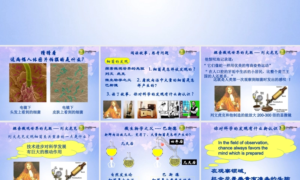 八年级生物上册 细菌课件 新人教版 课件