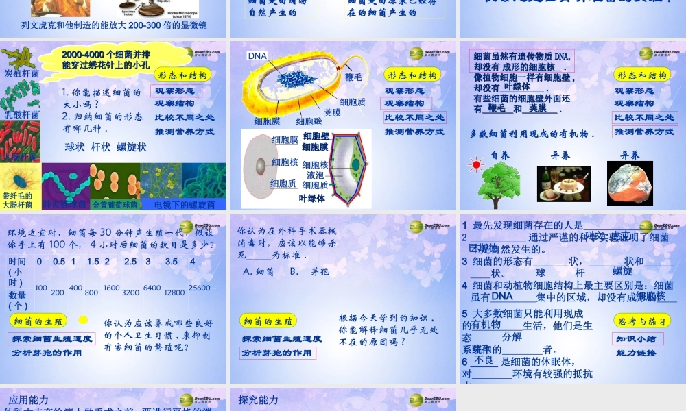 八年级生物上册 细菌课件 新人教版 课件