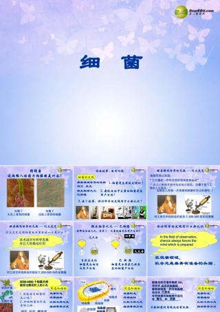 八年级生物上册 细菌课件 新人教版 课件