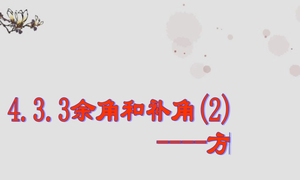 广东省珠海市七年级数学上册 余角和补角课件2 新人教版 课件