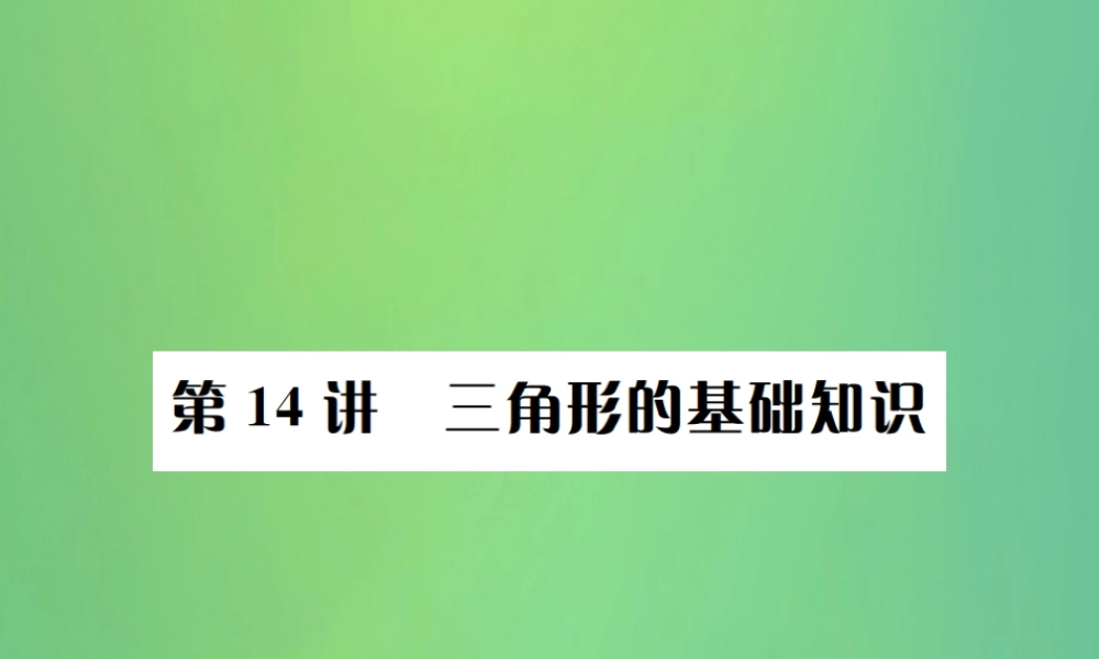 中考数学复习 第四单元 图形的初步认识与三角形 第14讲 三角形的基础知识课件