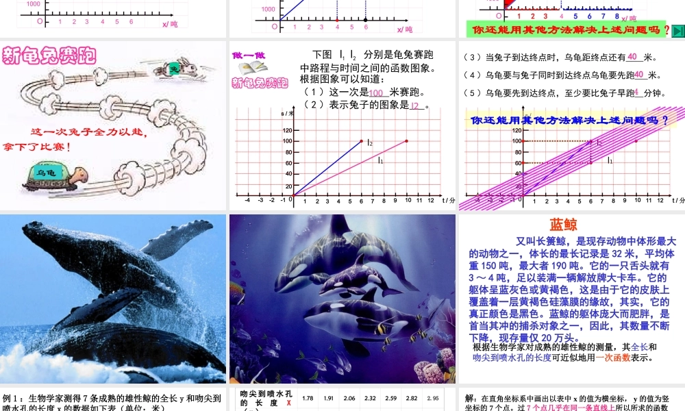八年级数学7.5 一次函数的简单应用(1)课件浙教版 课件