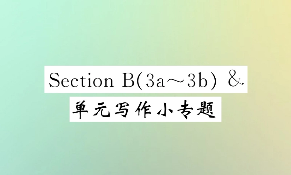 九年级英语全册 Unit 7 Teenagers should be allowed to choose their own clothes Section B(3a 3b) 单元写作小专题课件 (新版)人教新目标版 课件